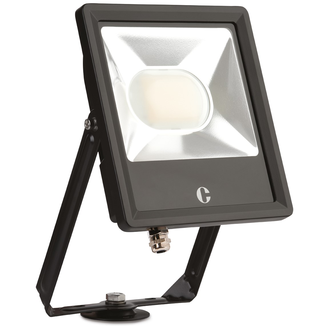 Collingwood FL05BXCS 50W Floodlight Colour Switchable Black