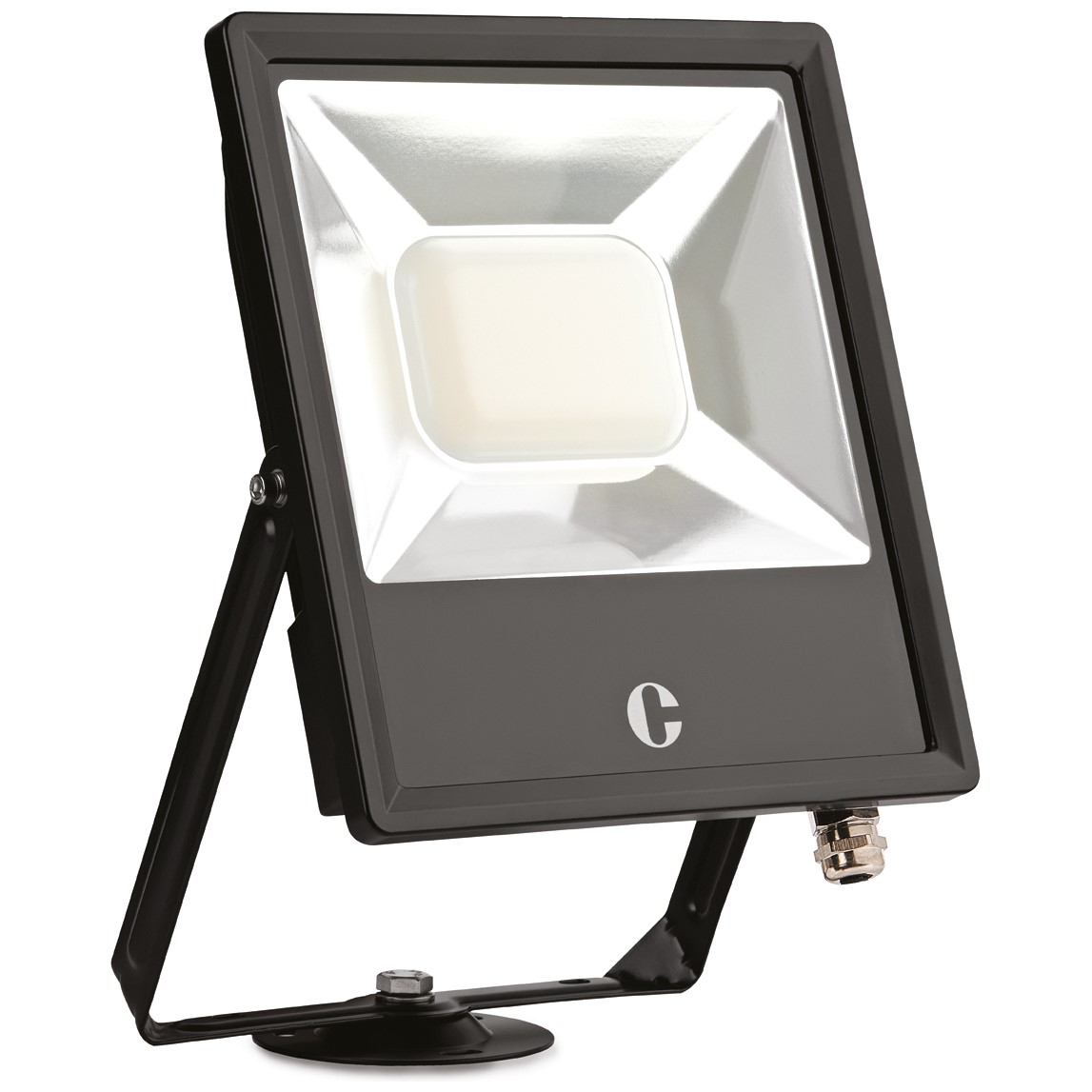 Collingwood FL10BXCS 100W Floodlight Colour Switchable Black