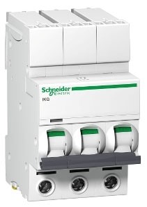 Schneider SE10C306 Square D TP MCB Type C - 6A