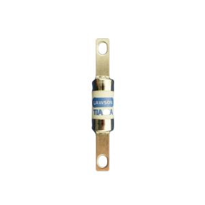 Lawson TIA10 Industrial Fuse 10 Amp 